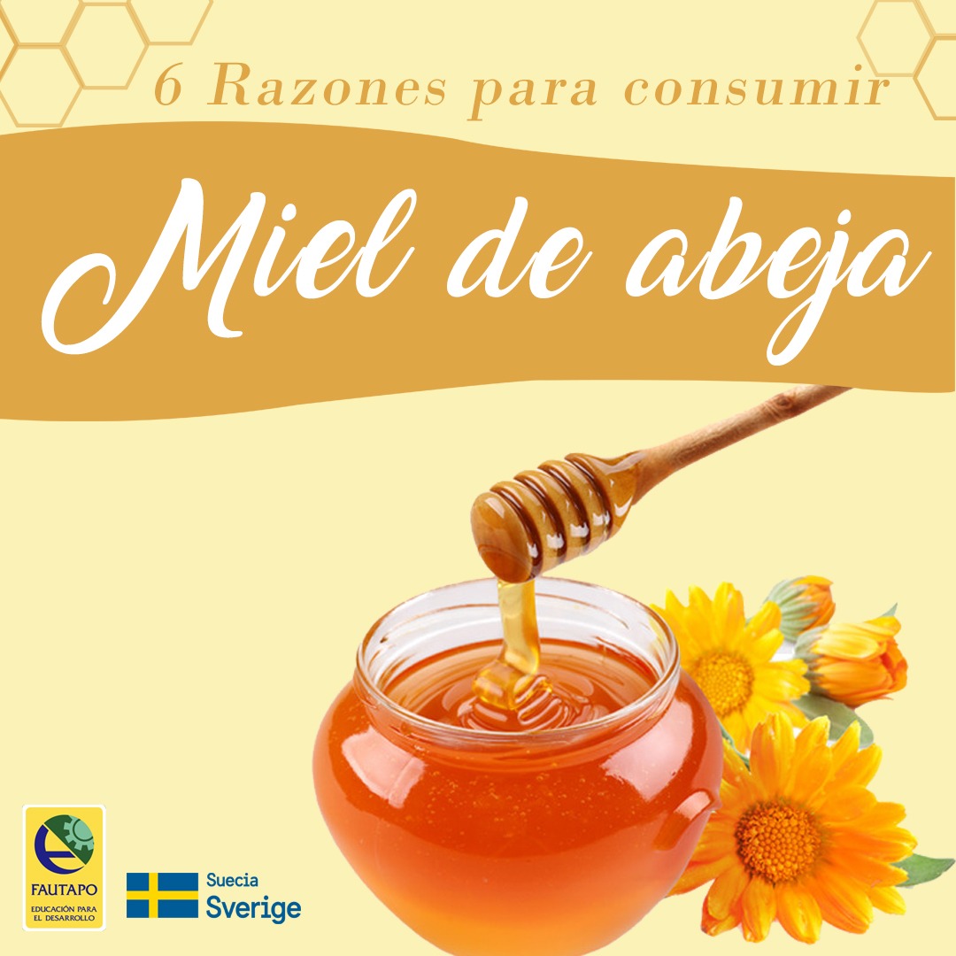 Noticia - Los 10 beneficios y propiedades que tiene la miel pura de abeja