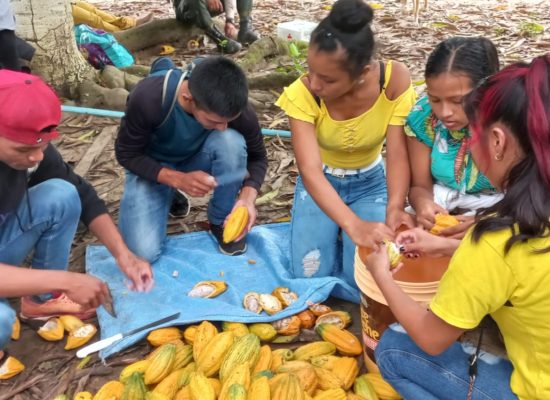 Encuentro Juvenil para beneficiar el cacao de la Reserva de Manuripi