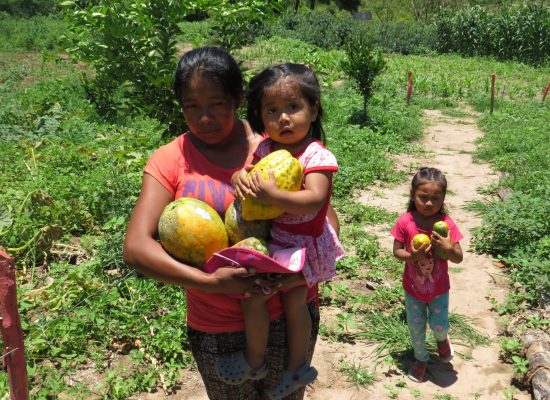 Capacitación en el proceso productivo de hortalizas y frutales