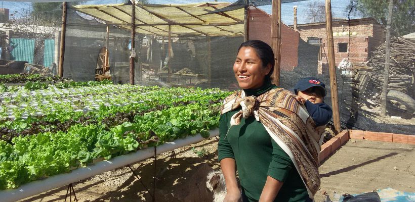 Apoyo a los Consejos Educativos de los Pueblos Originarios CEPOS