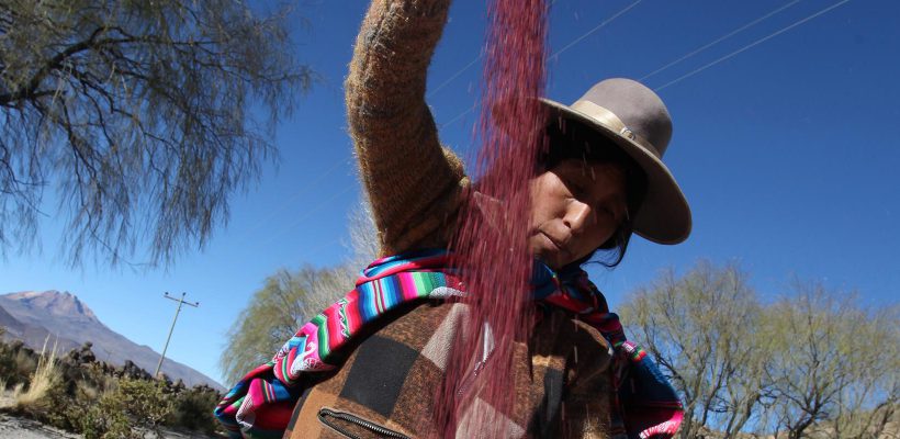 Sistema integrado para la organización de productores de quinua