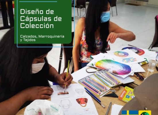 Asistencia Técnica en el diseño de capsulas de colección