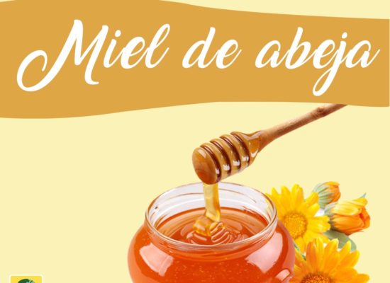 6 razones para consumir miel de abeja