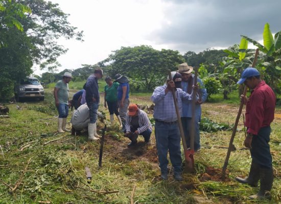 #FautapoAmazonía. AGROFORESTERÍA DINÁMICA SUCESIONAL