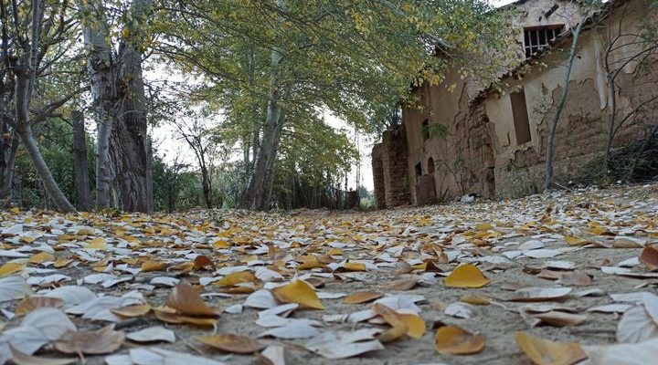 Formación en Tecnologías Tradicionales para la parte Arquitectónica de casas de haciendas del valle de Cinti