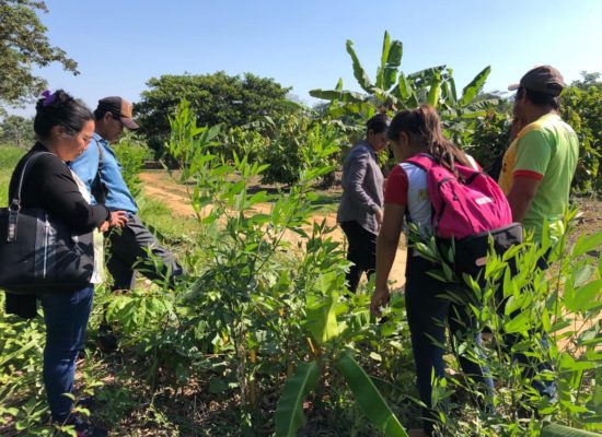 #FautapoAmazonía. SE LLEVÓ A CABO EL ENCUENTRO FAMILIAR CON UPFs DE FILADELFIA EN EL CIDFA